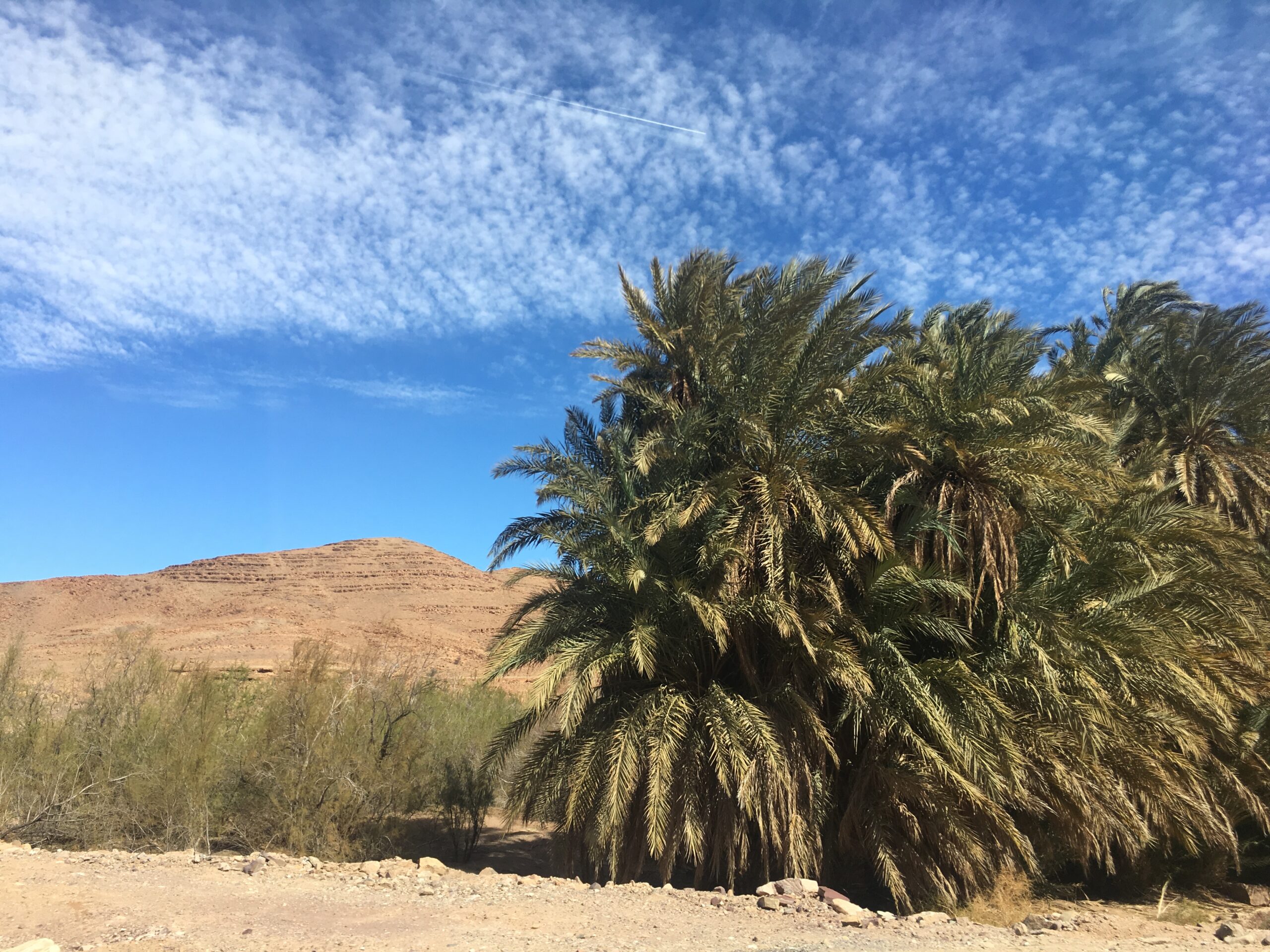 Tawada Trekking Agence De Voyage Marrakech IMG 7859 Agdez Vallee Artizant